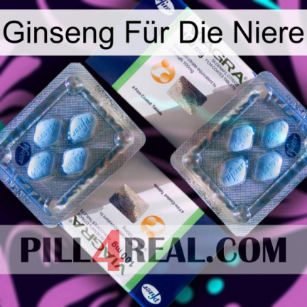 Ginseng Für Die Niere viagra5